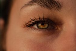 Sourcils entretien